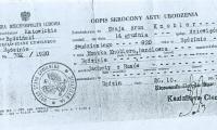 Szaja Aron Knobler - birth certificate 
