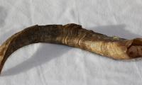 Shofar