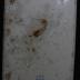 Wizo (Women's International Zionist Organization) Tzedakah / Charity Box