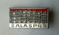 Salaspils Survivors Pin