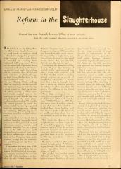 Article from Jan 1961 Together Magazine Regarding Reform Efforts Slaughterhouses Citing Rabbi Eliezer Silver and Rabbi Joseph Soloveitchik