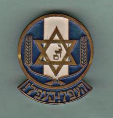 Pin for Jewish Youth Movement Founded in Europe After the Holocaust