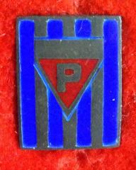 Auschwitz Concentration Camp Survivor Pin