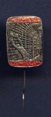 Auschwitz / Oswiecim “Never Again” Commemorative Pin