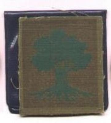 Golany (IDF) Brigade 25 Year Commemoration and 25th Anniversary of Israel’s Establishment 1973 Medal (Part of Shekel 25th Anniversary Series)