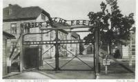 Auschwitz-Birkenau Postcard Showing the Main Gate to the Camp
