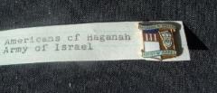 Americans of Haganah / Army of Israel Pin